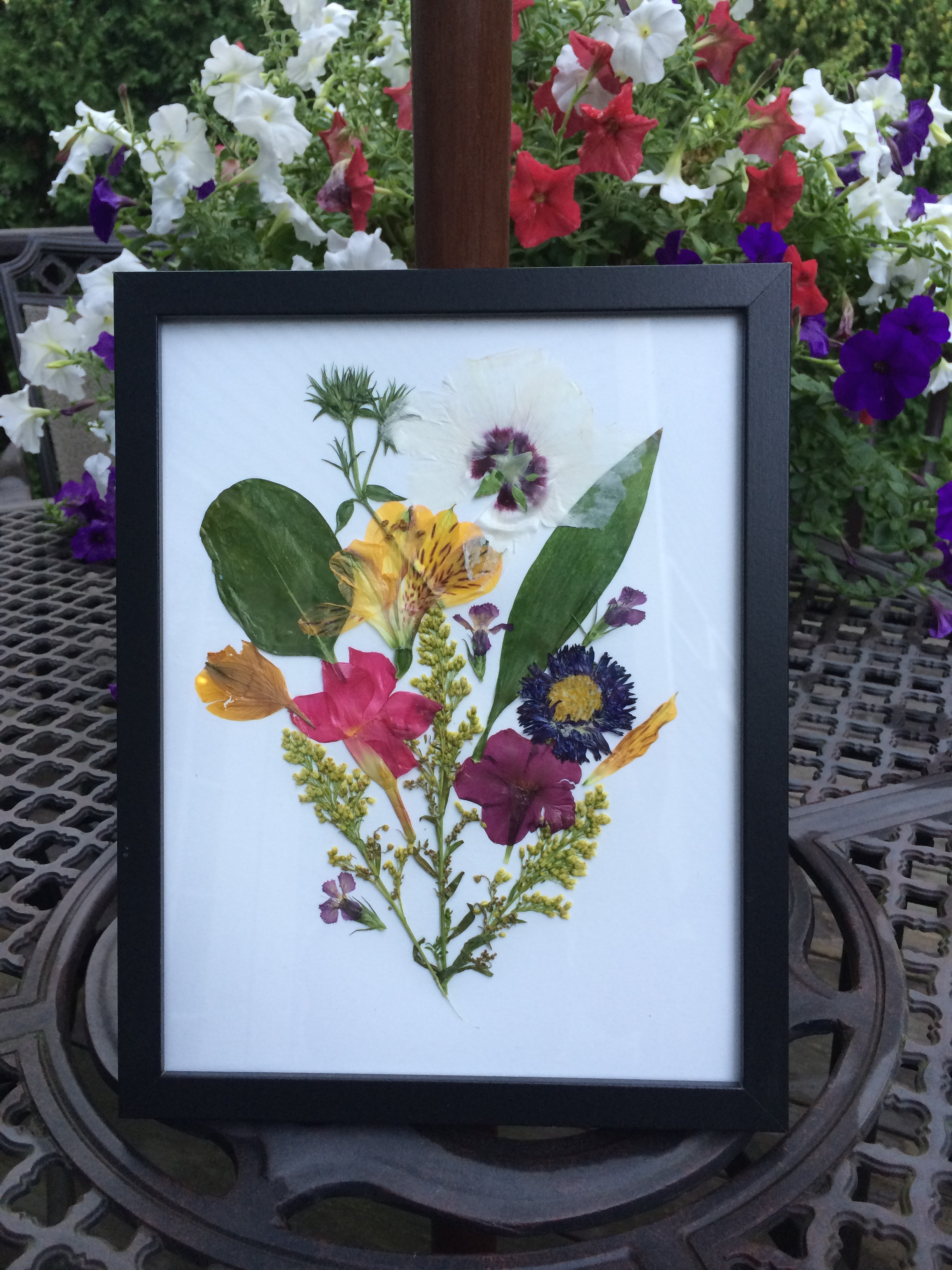 Pressed Flower Collage (with DIY microwave flower press!) – KAYLA AND THE  SATELLITE